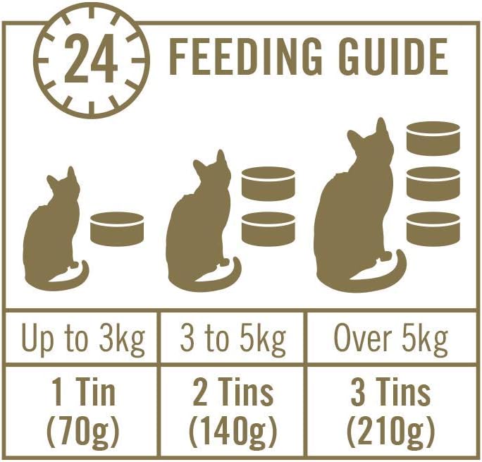 Encore 100% Natural Wet Cat Food, Sardine with Tuna Fillet in Broth, 70g (Pack of 16) :Pet Supplies