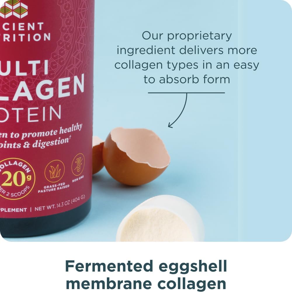 Ancient Nutrition Collagen Powder Protein With Probiotics, Unflavored Multi Collagen Protein With Vitamin C, 45 Servings, Hydrolyzed Collagen Peptides Supports Skin And Nails, Gut Health, 16Oz : Health & Household