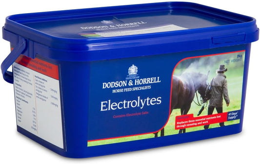 Dodson & Horrell Electrolytes Horse Supplement 2Kg