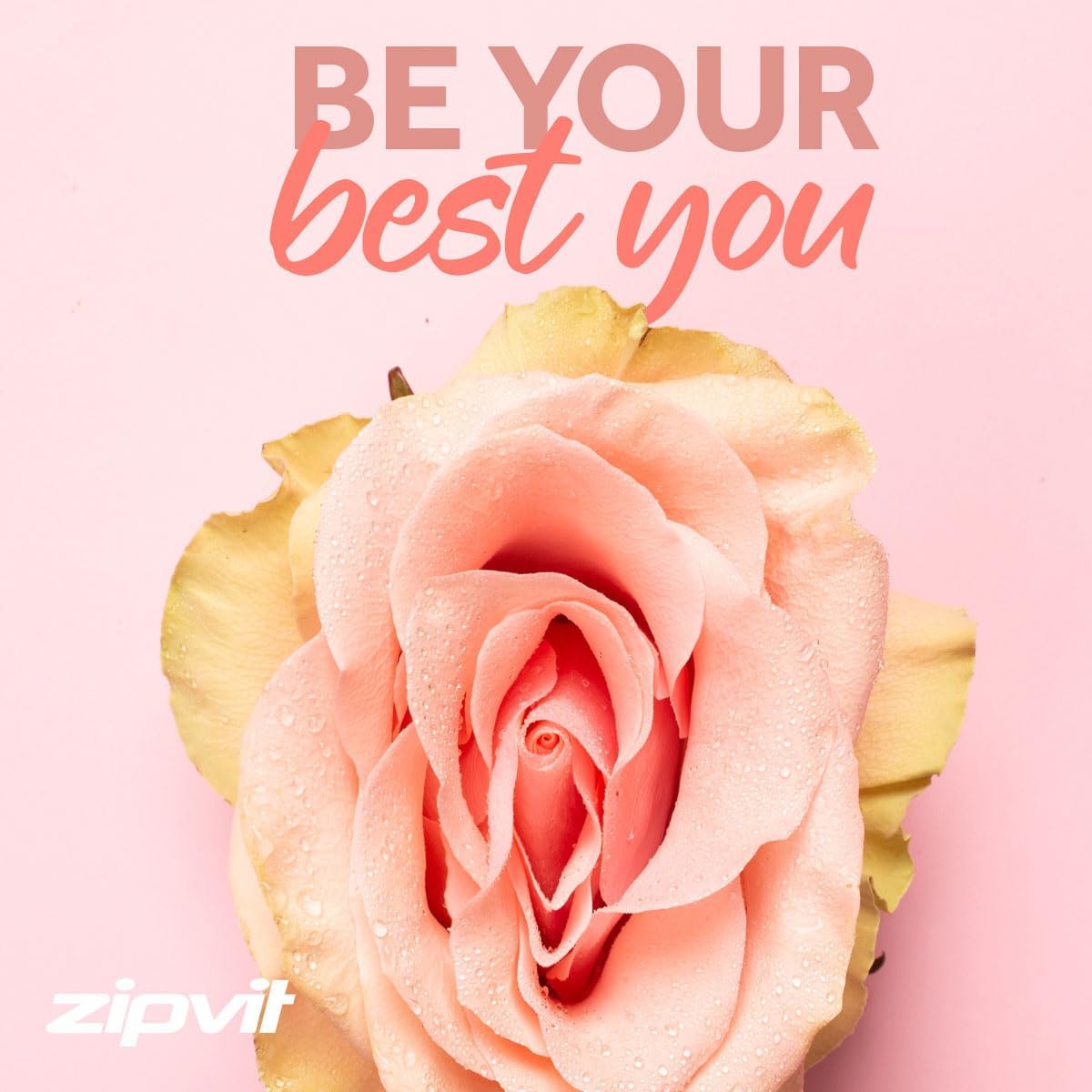 Zipvit MaxiFlora Womens Probiotics 20 Billion CFU, Intimate Probiotics with 3 Bio Cultures, 60 Vegan Capsules, 2 Months Supply, Shelf Stable and Travel Friendly : Amazon.co.uk: Health & Personal Care