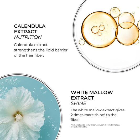 Phyto Plage Rehydrating After-Sun Shampoo, Sulfate-Free, Silicone-Free, Removes Salt, Chlorine & Sand, Restores Softness & Shine, 8.45 Fl Oz