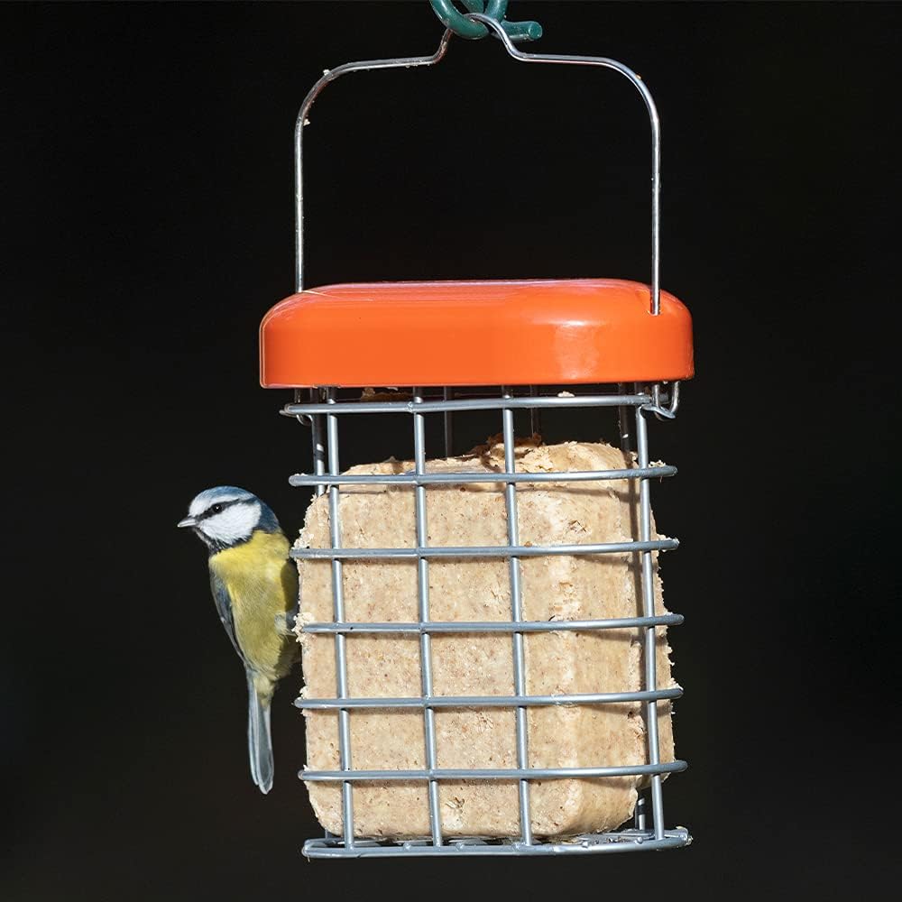 Fat Ball Hanging Bird Feeder - Jacobi Jayne® Premium Suet Feeder For Chunky Dumpling™ - All-Weather Metal Suet Ball Feeder, Green - small bird fat ball feeder :Garden