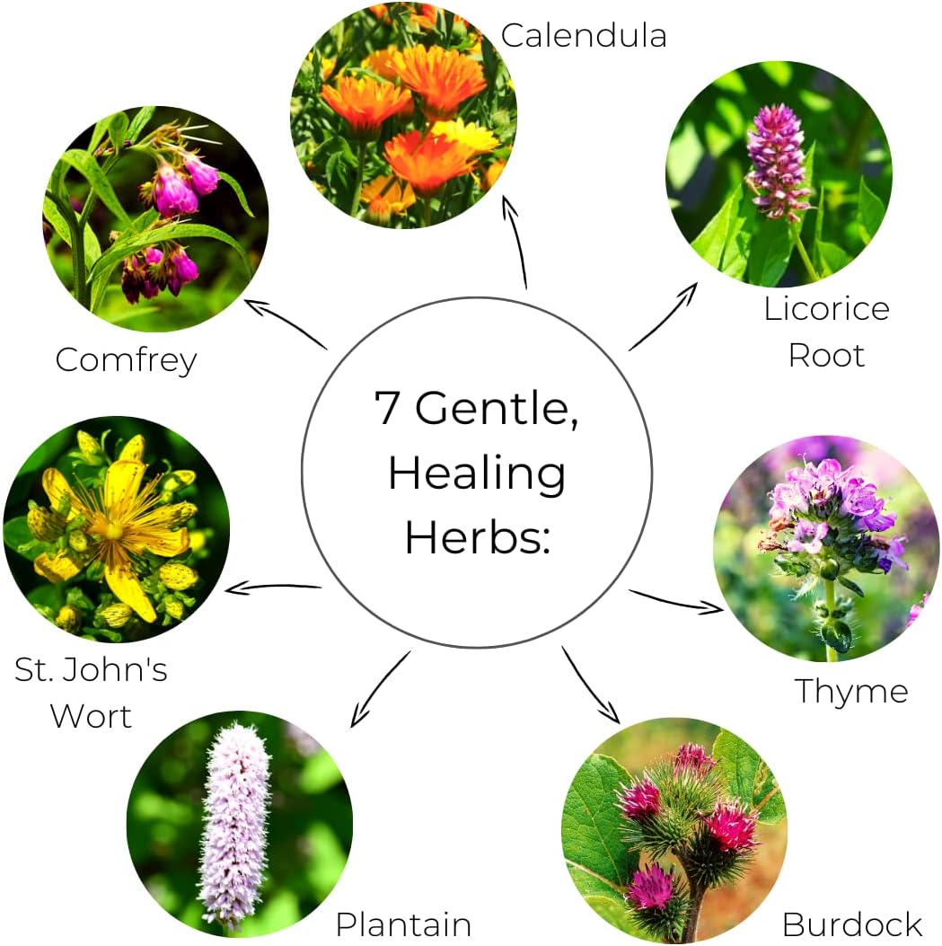 Touchy Skin Salve, Eczema Cream, Eczema Treatment For Kids and Adults , Eczema Cream, Calendula Cream, Itch Cream, Dermatitis, Dry Hands, Hand Mask Balm, Calendula Ointment with Coconut Oil