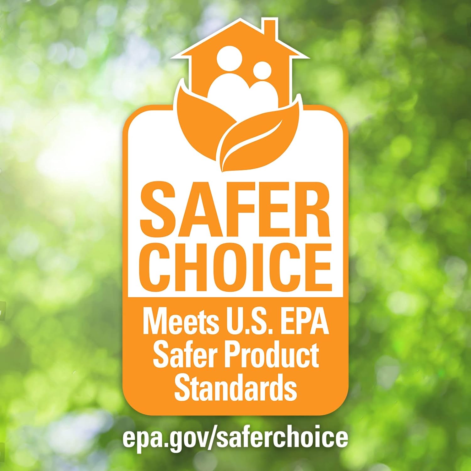 Biokleen Dish Liquid Soap - 50 Ounce - Dish-washing, Hand Moisturizing, Eco-Friendly, Plant-Based, No Artificial Fragrance, Colors or Preservatives, Citrus & Aloe : Health & Household