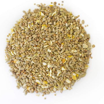 Extra Select Chicken D'Light Complimentary Chicken Feed, 20 Kg07Cdl20