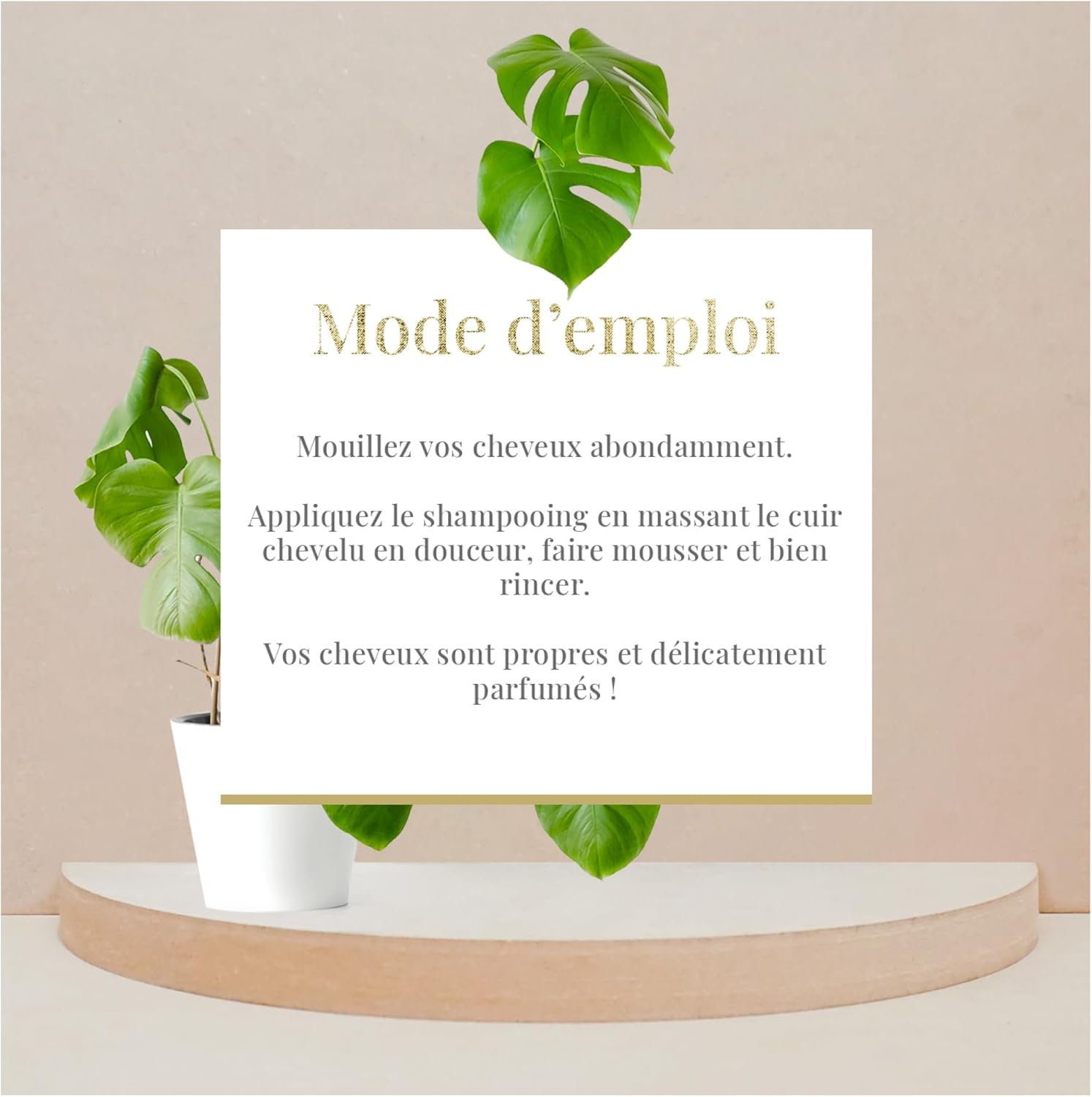 Arganicare | Growth Accelerator Shampoo | Brings Strength And Resistance To Hair | Stimulates Growth | Nourishes And Hydrates Hair | Made In France | Set Of 2X400Ml