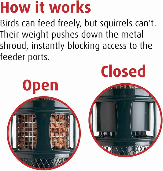 Jacobi Jayne Sb-Pn Squirrel Proof Bird Feeder - Squirrel Buster Peanut - Marauders Off! Guaranteed Squirrel And Large Bird Proof / Metal, GreenSb-Pn