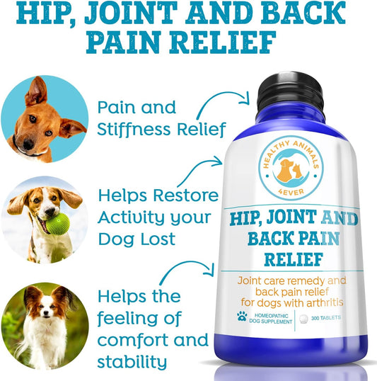 Healthy Animals 4 Ever Arthritis Remedy For Dogs - Restore Energy & Vitality - Support Hip & Joint Health - Minimize Pain - All-Natural, Non-Gmo, Organic - Preservative & Chemical Free - 300 Ct