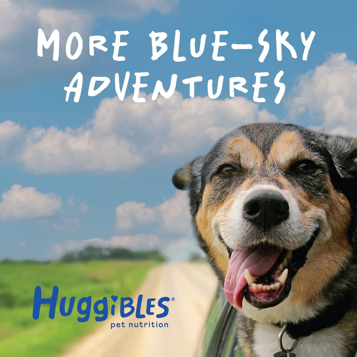 All-in-1 Dog Multivitamins and Supplement | Fish Oil, Iron, Calcium, Vitamin E, C & B12 | Joint, Immune, & Vision Support | All Natural Chewable Dog Multivitamin, Multivitamin for Dogs – Huggibles : Pet Supplies