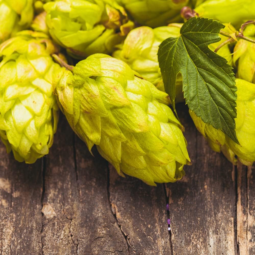 Altruvita Xanthohumol Hop Extract, Xanthohumol+ 200mg, 60 Capsules, 60 Days Supply, Antioxidant Support, Protects Cells from Stress-induced Oxidation, UK Product : Amazon.co.uk: Health & Personal Care