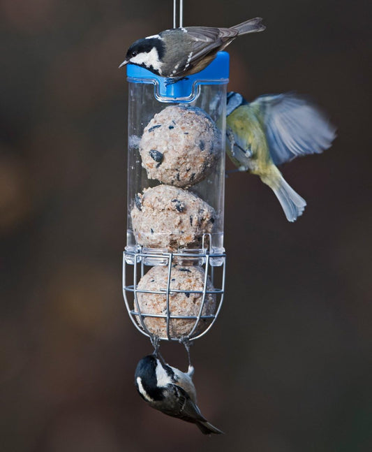 Fat Balls For Wild Birds - Jacobi Jayne® Chunky Dumplings⢠Premium Suet Balls - Pack Of 18 X 85G - High Energy Fat Balls Wild Bird Food Feed To Attract Small Wild Birds Year RoundCd85-18