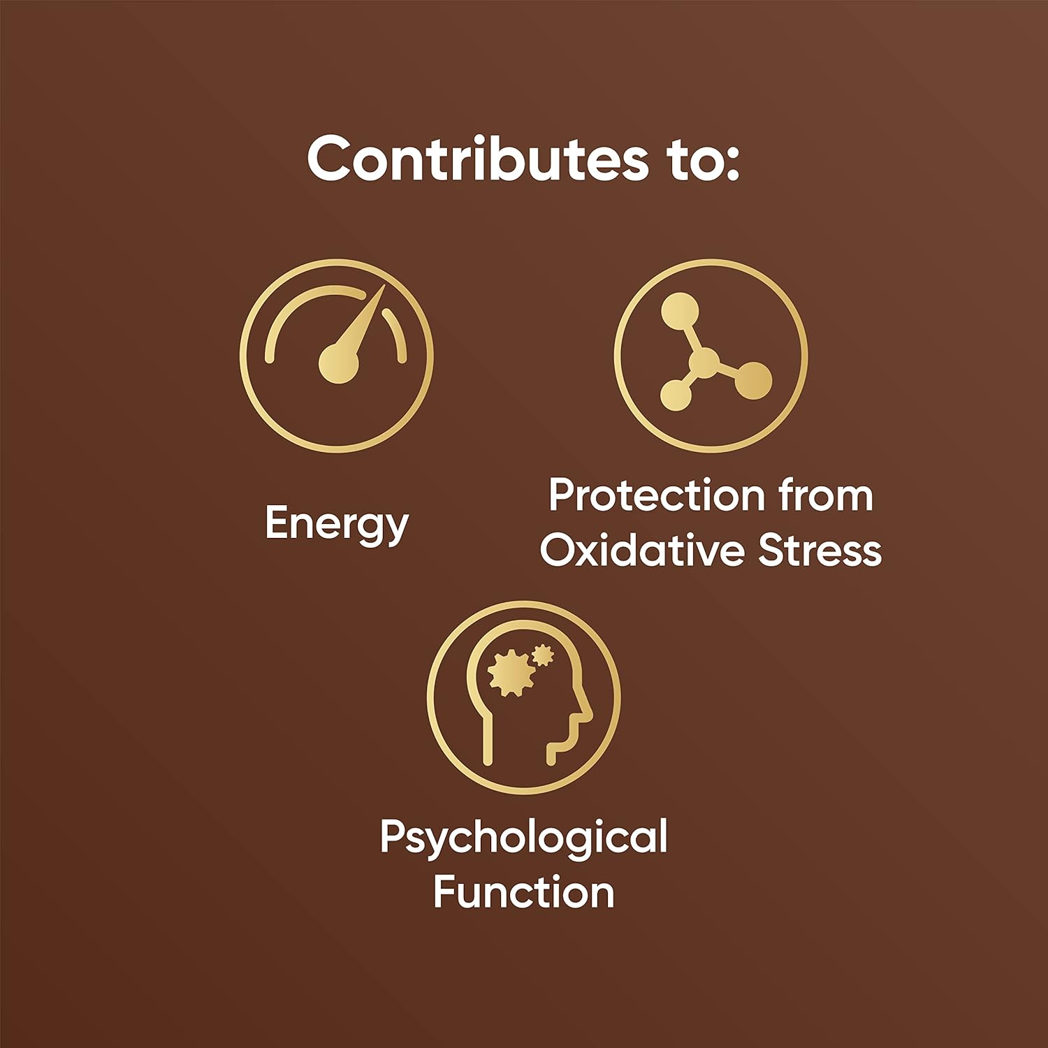 Naturya Fairtrade Organic Cacao Powder, 250g : Amazon.co.uk: Grocery