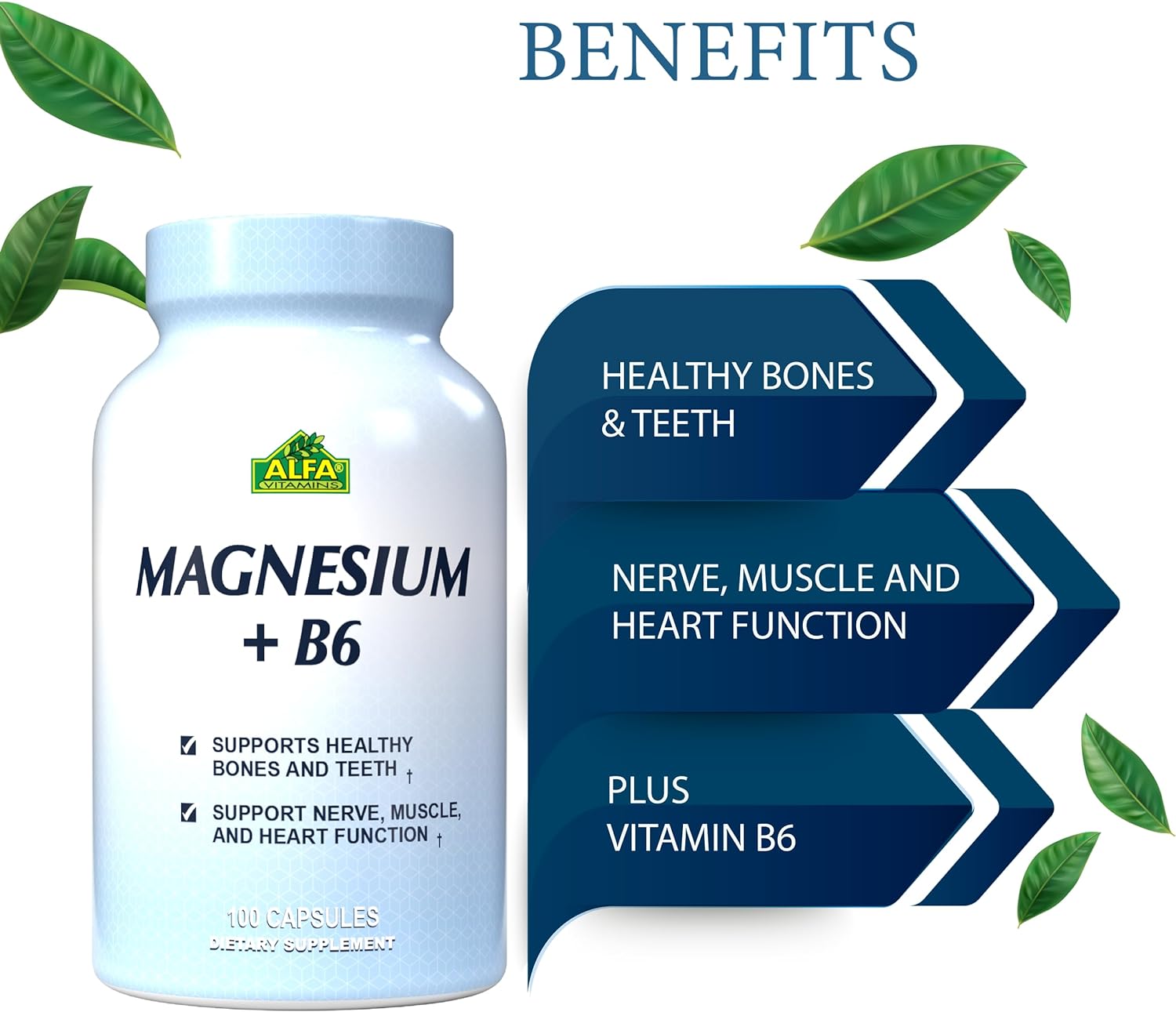 ALFA VITAMINS Magnesium Plus B-6 500 Mg Cardiovascular Health - Supports Energy Production &r Enzyme Function - 100 Capsules : Health & Household