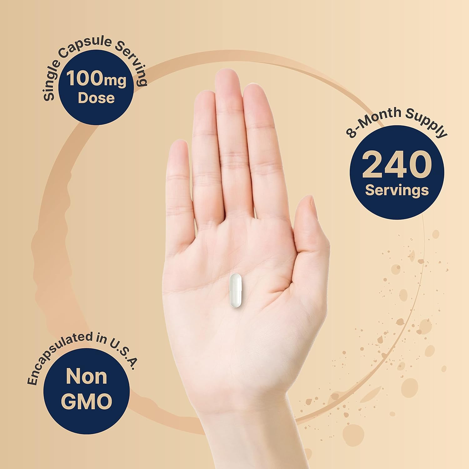 NatureBell DHEA 100mg, 240 Capsules | Extra Strength, Micronized Grade for Better Absorption, Supports Energy Level, Metabolism and Healthy Aging for Men and Women, No GMOs and Made in U.S.A : Health & Household