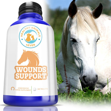 Healthyanimals4Ever All-Natural Horse Wound Care For Accidents & Injuries - Pellets For Horse First Aid Kit - Homeopathic & Highly Effective - 300 Tablets