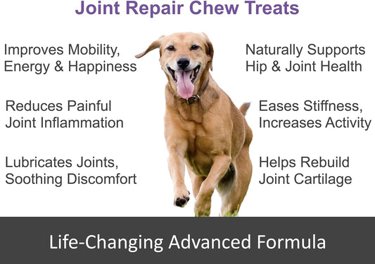 Advanced Joint Repair Hip & Joint Health Supplement For Dogs - Relieves Arthritis, Pain & Inflammation, Improve Mobility, Extra Strength Soft Chew Treats With Glucosamine, Chondroitin & Msm