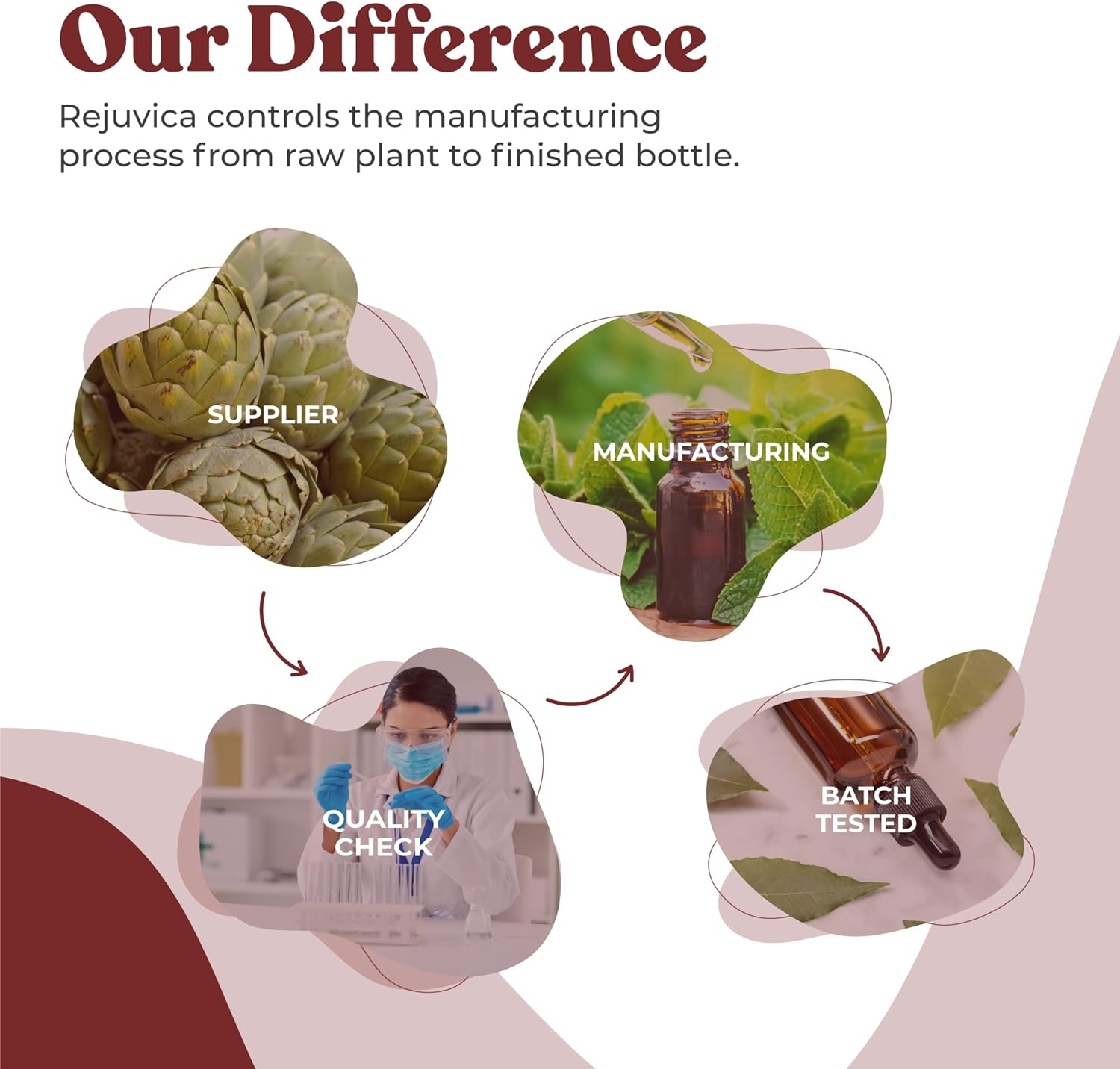 Active Ginseng Korean Red Panax Ginseng with Natural Ginsenosides - All-Natural Advanced Liquid Solution for 2X Absorption - Supports Healthy Energy, Vitality, Mood and More : Health & Household