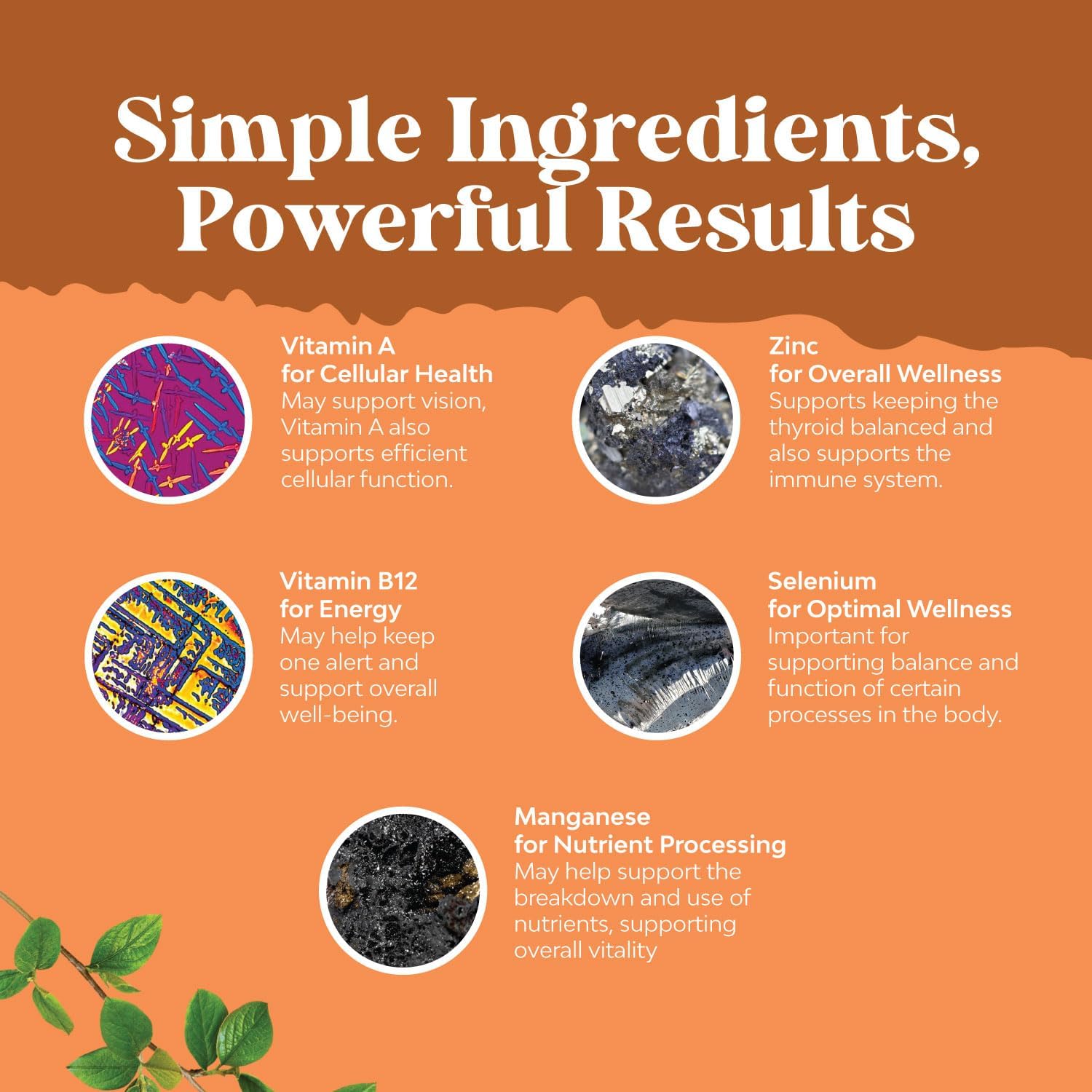 High Absorption Thyroid Support Supplement - Vegan Liquid Iodine Supplements for Thyroid Support for Women and Men with Myo-Inositol Selenium and Stinging Nettle for Enhanced Energy and Focus 2 Pack : Health & Household