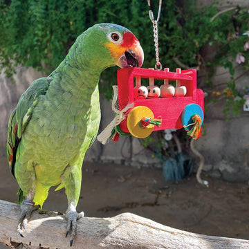 Bus Of Emotions Parrot Toy