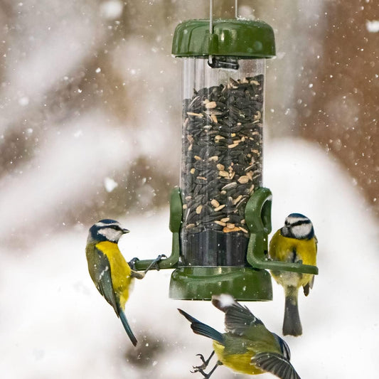 Jacobi Jayne Rp3-S1G Ring-Pull Click Small Seed Feeder, Green BirdRp3-S1G