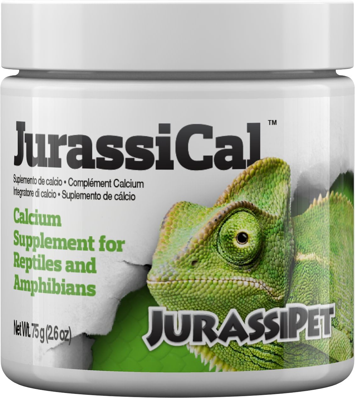 Jurassical - Dry, 75 G / 2.6 Oz : Dry Pet Food : Pet Supplies