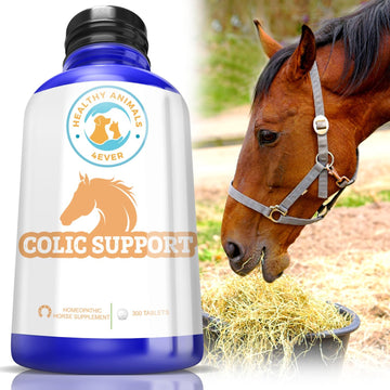 Healthyanimals4Ever All-Natural Horse Colic Support - Reduces Abdominal Pain And Other Stomach Issues - Supplements For Horses - Homeopathic & Highly Effective - 300 Tablets