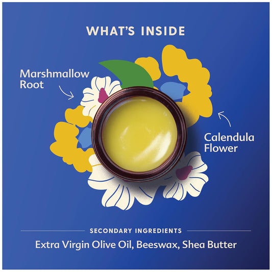 Motherlove Nipple Cream (2 Oz) Organic Lanolin-Free Nipple Cream For Breastfeeding—Benefits Nursing & Pumping Moms