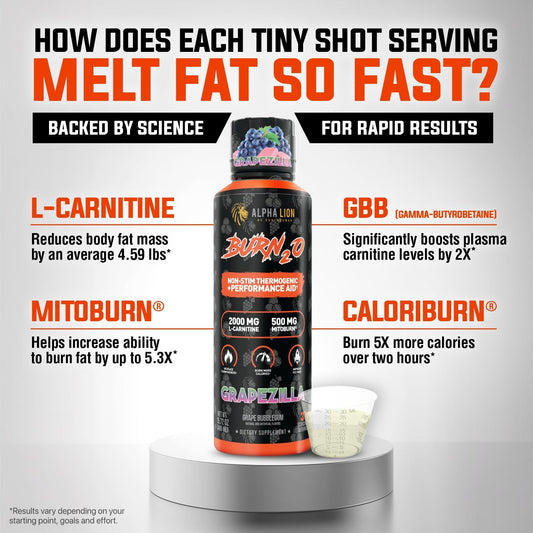 Alpha Lion Burn 20 L-Carnitine Liquid 2000Mg, Premium Liquid Fat Burner & Pre-Workout Supplement For Men & Women - Natural Energy & Metabolism Booster For Weight Loss - Shredberry