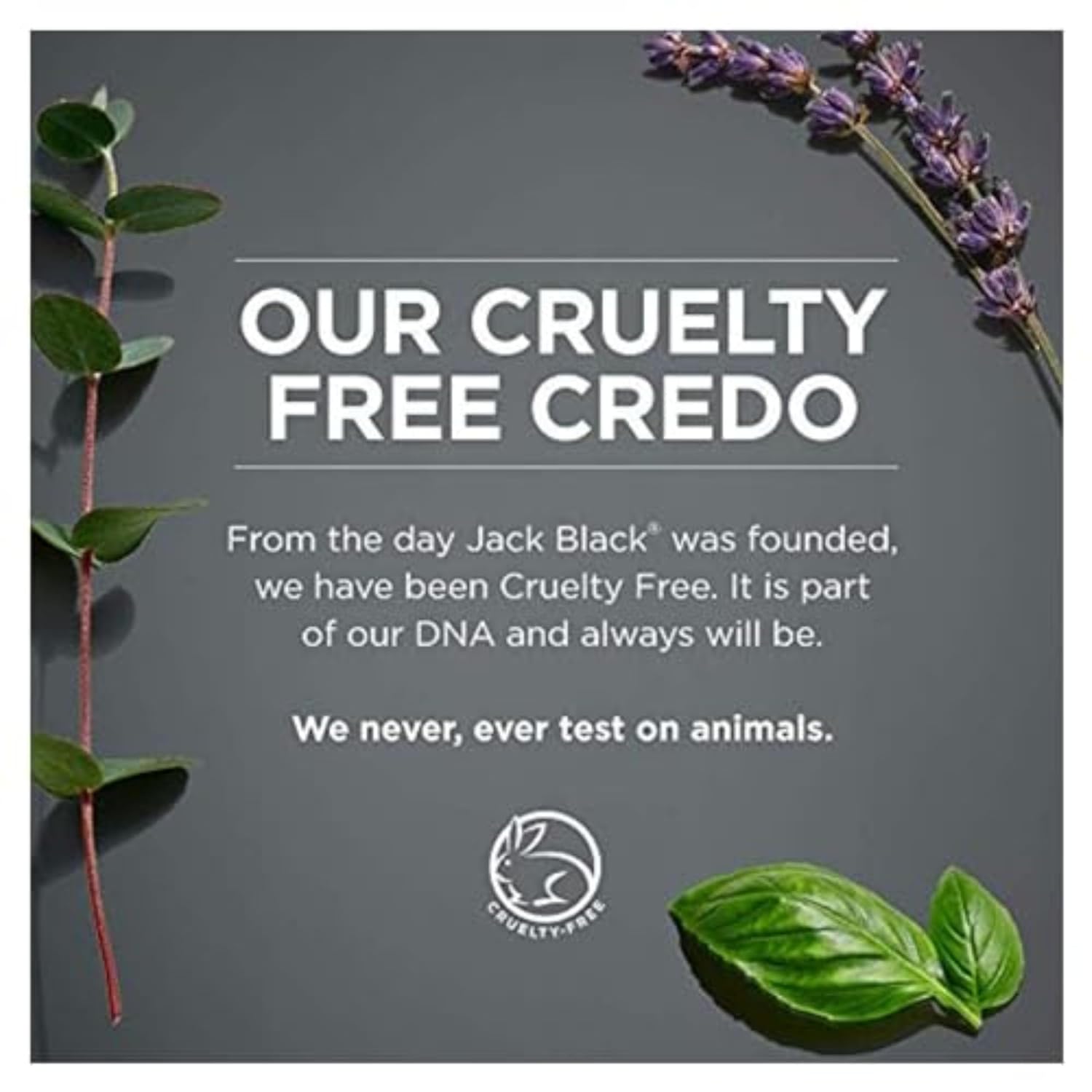 Jack Black Intense Therapy Lip Balm, 0.25-Oz. β Natural Mint & Shea Butter, SPF 25 Sun Protection, Lip Moisturizer, Hydrating Lip Balm with SPF, Long Lasting Treatment : Beauty & Personal Care