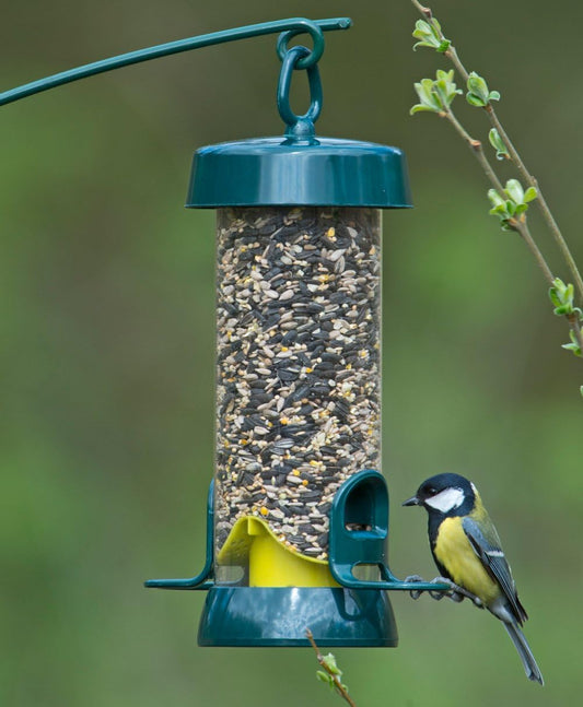 Hanging Bird Feeders For Small Birds - Jacobi Jayne® Bigeasy™ Small Seed Bird Feeders For Wild And Garden Birds - Squirrel-Resistant Bird Feeder With Built In Hanging RingBe-S1G