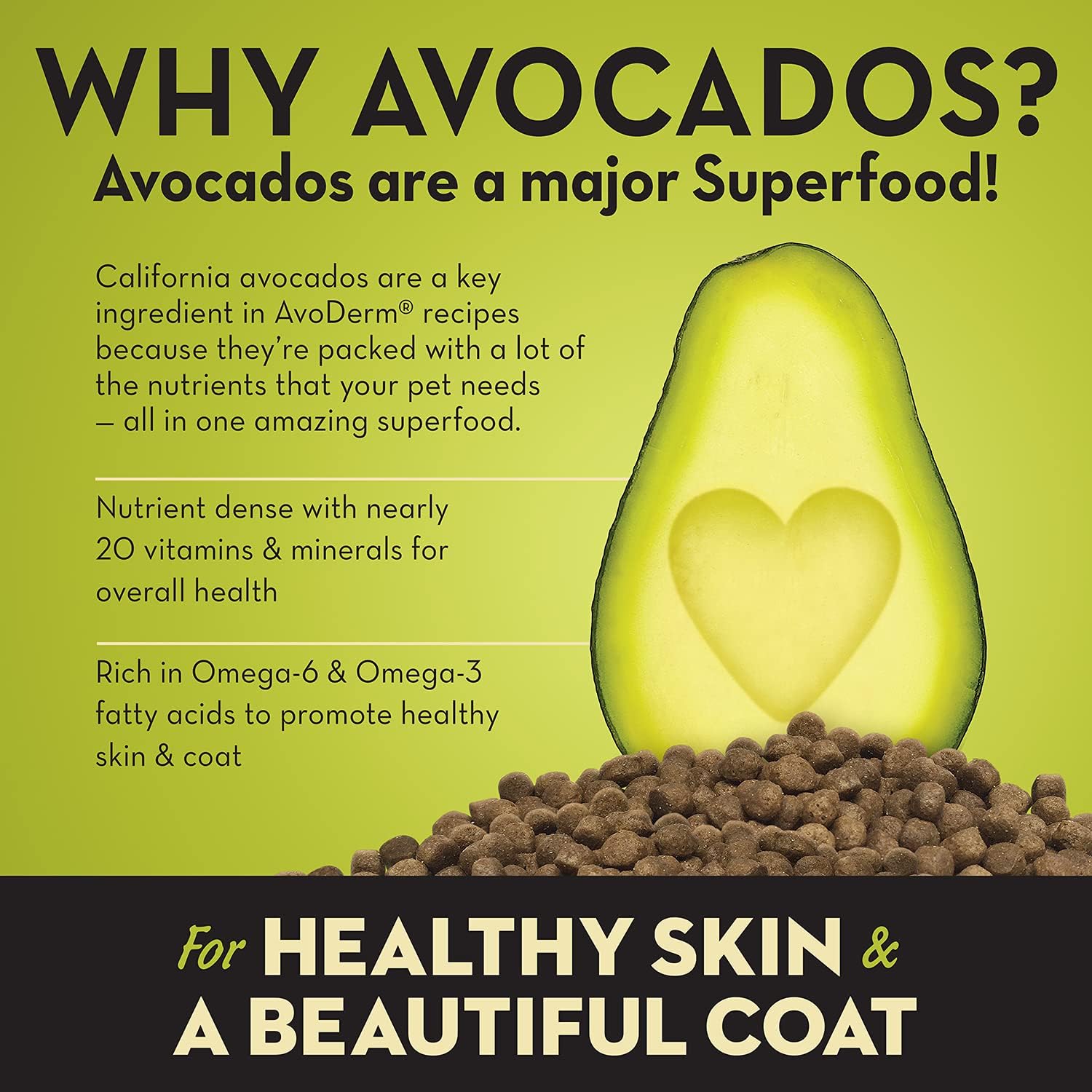 AvoDerm Small Breed Dog Chicken Meal and Brown Rice Formula, 12lb bag : Pet Supplies