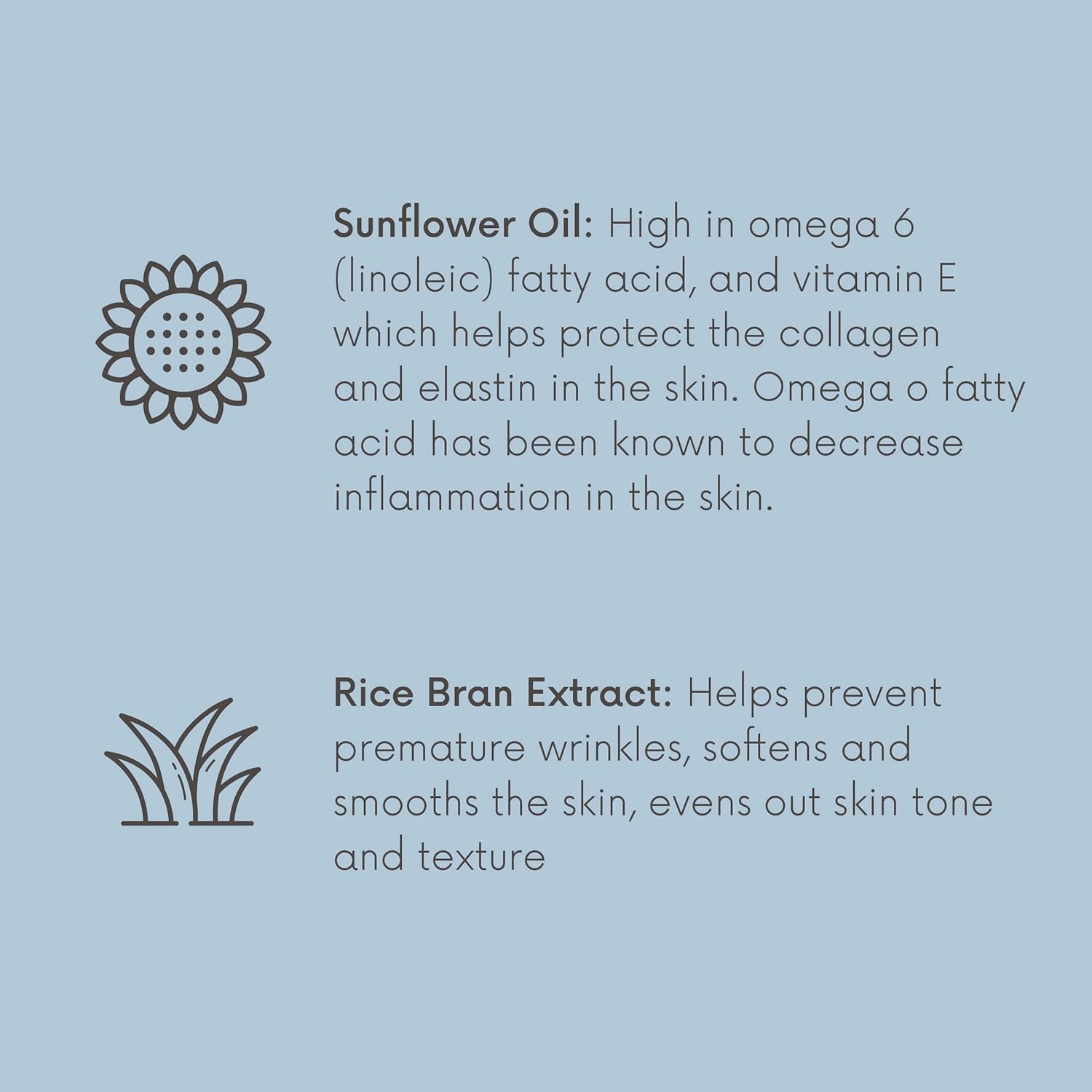 Sparitual Fragrance Free Body Oil | Unscented Body Moisturizer For Hydration And Massage Oil | 4 Oz : Beauty & Personal Care