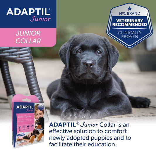 Adaptil Junior Adjustable Puppy Collar | Adaptil Dog Collar To Help Reduce Puppy Anxiety Using Natural Pheromones | Adjustable Calming Dog Collar For Puppies To Aid Training And Socialisation