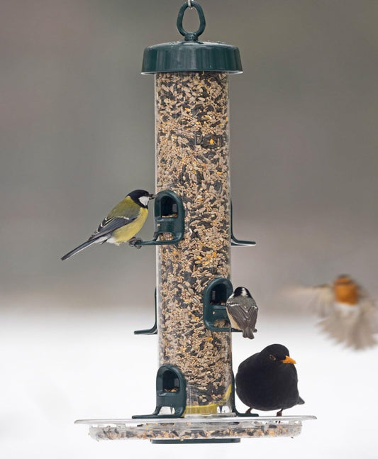 Hanging Bird Feeders For Small Birds - Jacobi Jayne® Bigeasy™ Small Seed Bird Feeders For Wild And Garden Birds - Squirrel-Resistant Bird Feeder With Built In Hanging RingBe-S3G