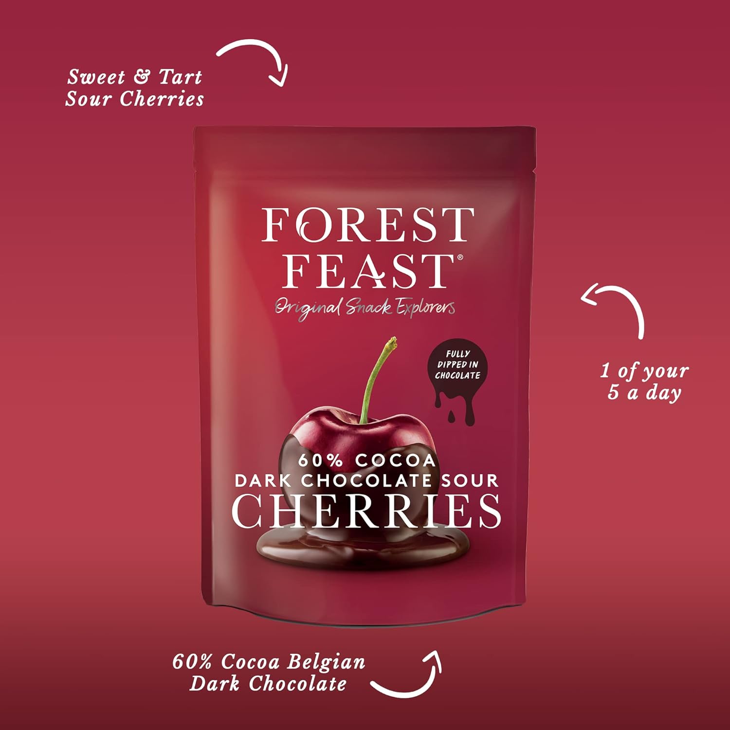 Forest Feast 60% Cocoa Dark Chocolate Sour Cherries 6 x 120g | Sweet Dried Cherries Chocolate Covered Fruit Snack with 60% Belgian Dark Chocolate, Gluten Free & Vegan Snack : Amazon.co.uk: Grocery