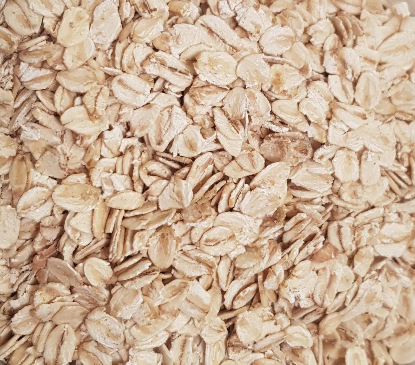 Wholefood Earth Jumbo Oats 500 G | Gmo Free | High Fibre