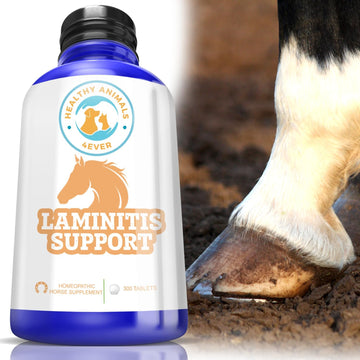 Healthyanimals4Ever All-Natural Horse Laminitis Support - Horse Hoof Care Products For Damaged Or Injured Hooves - Hoof Supplements For Horses - Homeopathic & Highly Effective - 300 Tablets