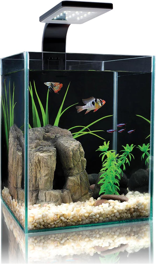 Cobalt Aquatics Microvue3 Aquarium Kit - 2.6 Gallon, White/Black - Includes Filter, Led Light, Glass Top & Foam Pad - For Nano Reefs & Planted Tanks