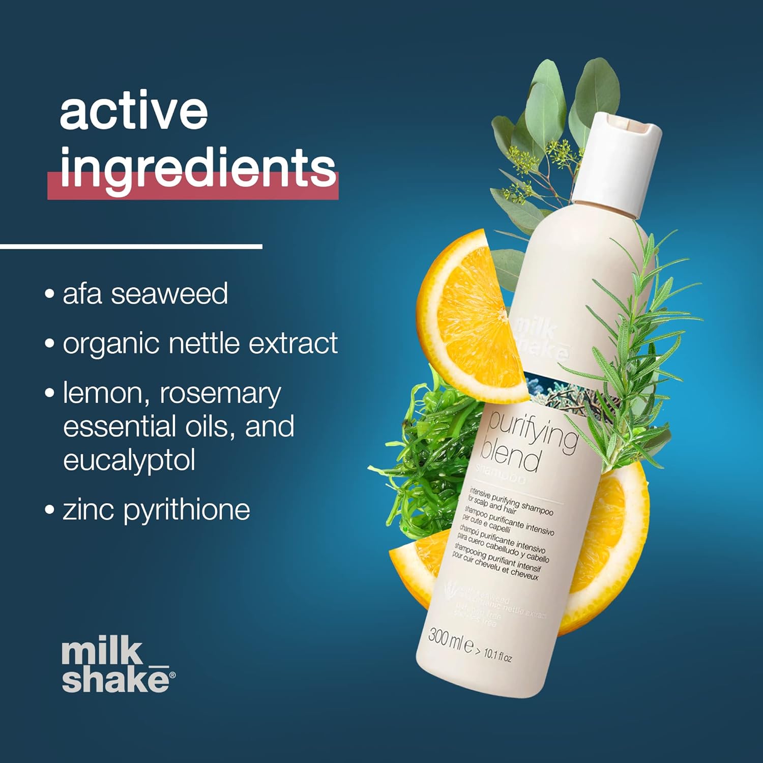 Milk_Shake Purifying Blend Shampoo, 33.8 Fl Oz : Beauty & Personal Care