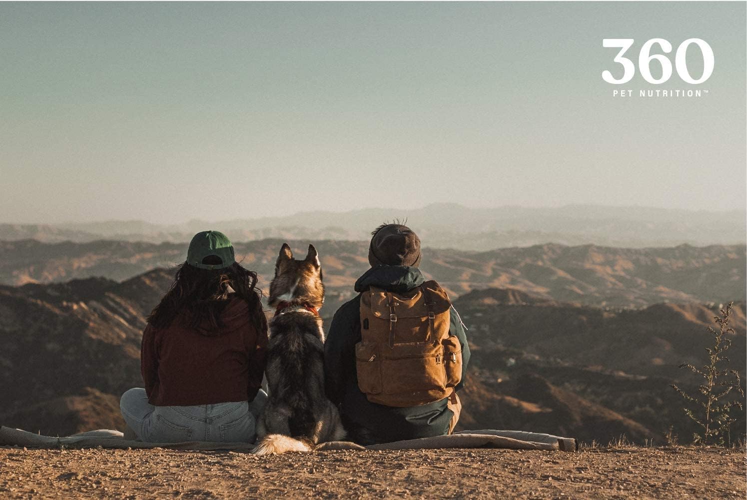 360 Pet Nutrition Freeze Dried Beef Liver Raw Single Ingredient Treats, Made in The USA, 4 Ounce (Beef Liver) : Pet Supplies