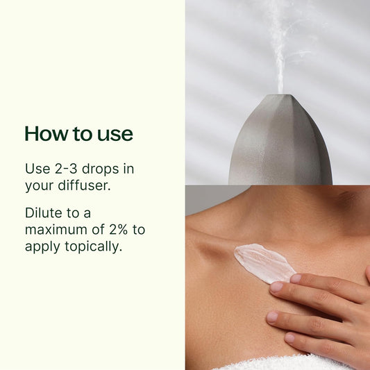 Plant Therapy Holiday Season Synergy Essential Oil 10 Ml (1/3 Oz) 100% Pure, Undiluted, Therapeutic Grade