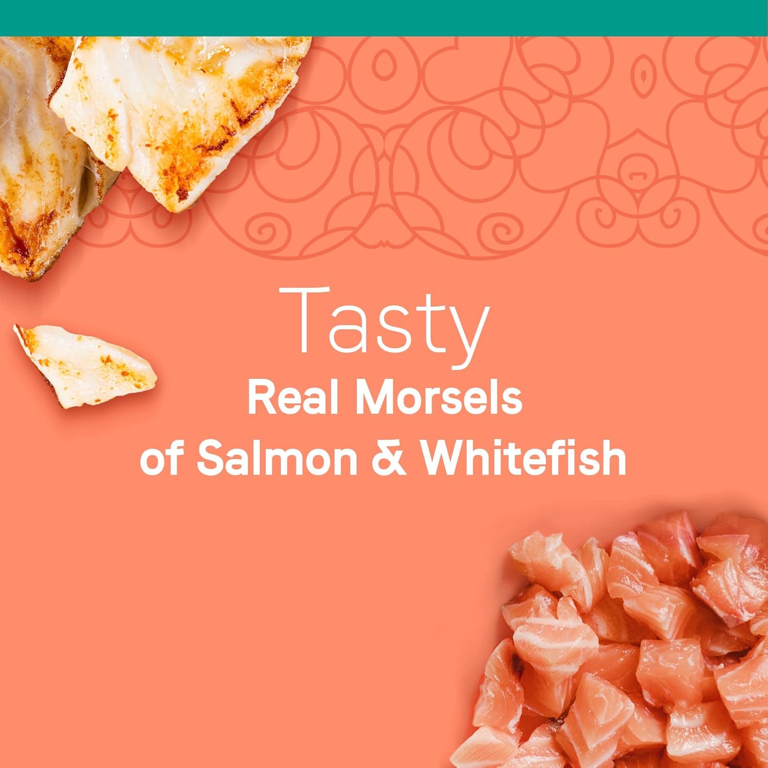 CANIDAE Adore Premium Wet Cat Food Bundle, 2.46 Ounce (Pack of 48), Shreds with Tuna, Chicken and Whitefish in Broth, Morsels with Salmon and Whitefish in Broth, Grain Free