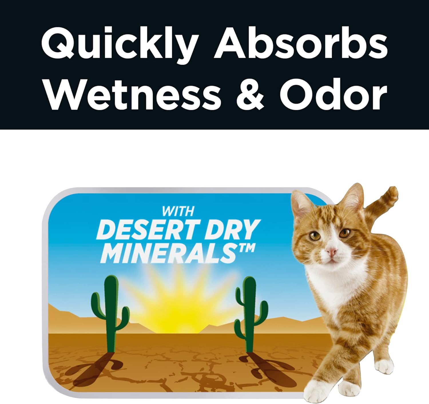 Arm & Hammer Clump & Seal AbsorbX Lightweight Quick Absorbing Scented Multi-Cat Clumping Cat Litter, 18 lb, Small : Pet Supplies