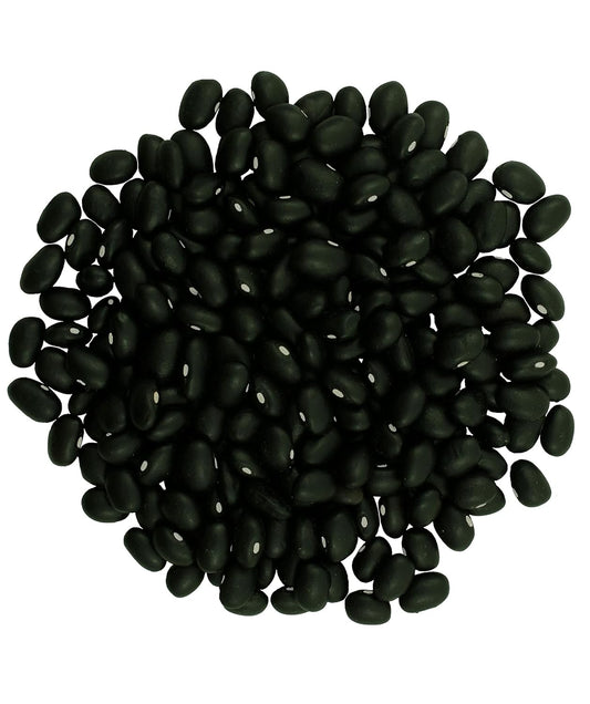Black Beans | 25 Lbs | Emergency Food Storage Bucket | Non-Gmo | Vegan | Bulk