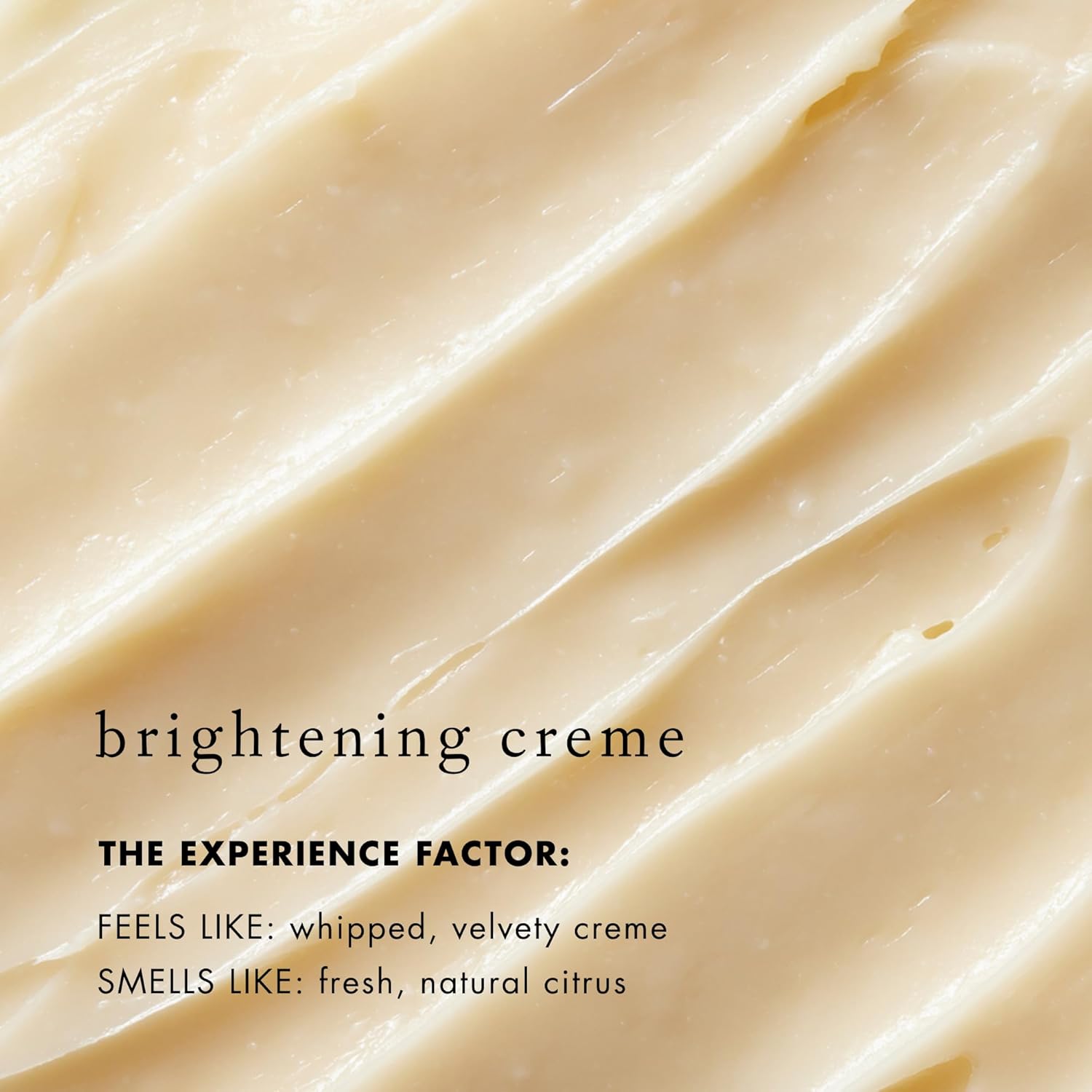 Bioelements Vc10 Nightly Bright - 1 Fl Oz - Overnight Night Creme With Triple-Sourced Antioxidant 10% Vitamin C - All Skin Types - Vegan, Gluten Free - Never Tested On Animals : Beauty & Personal Care