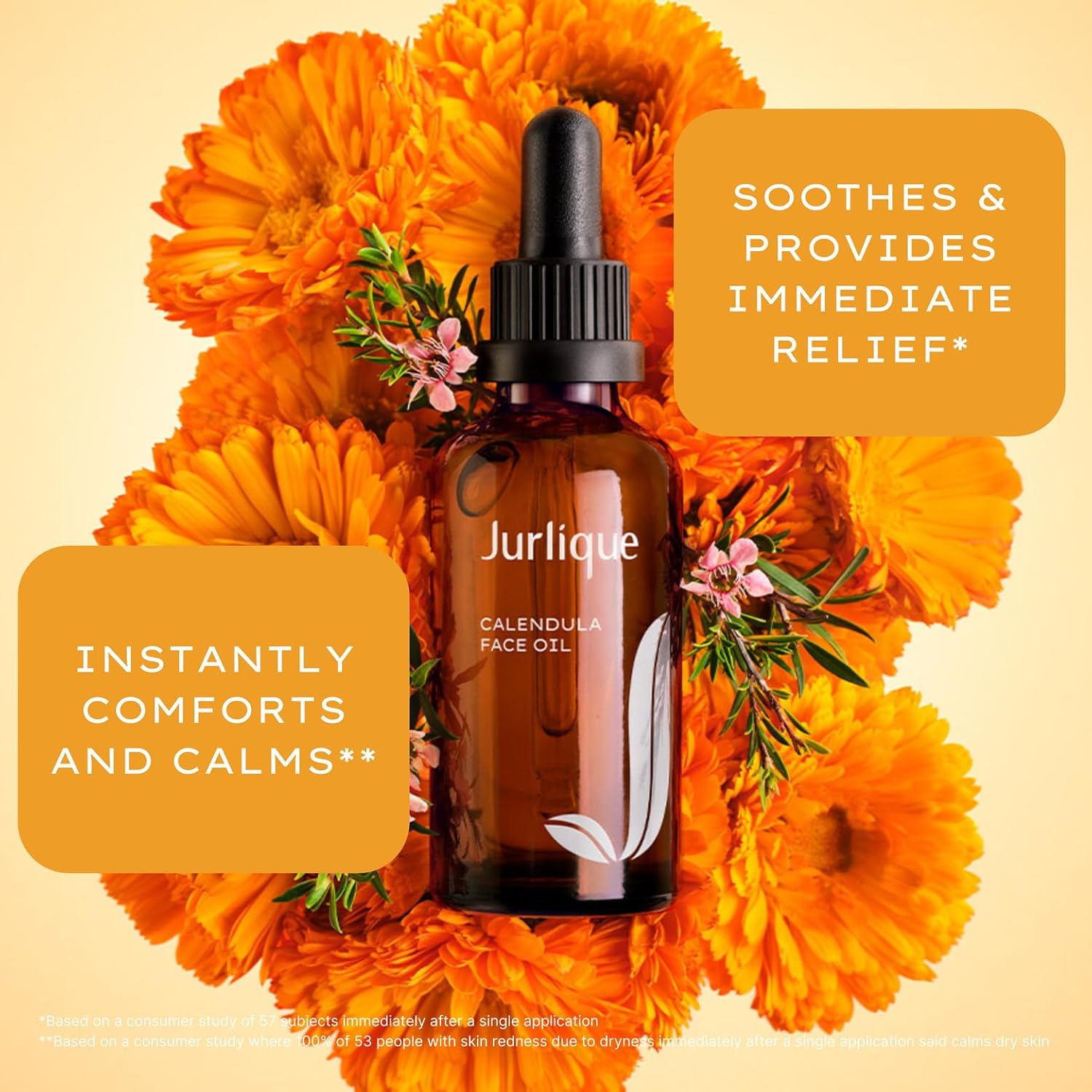 Jurlique - Calendula Face Oil 50Ml : Beauty & Personal Care