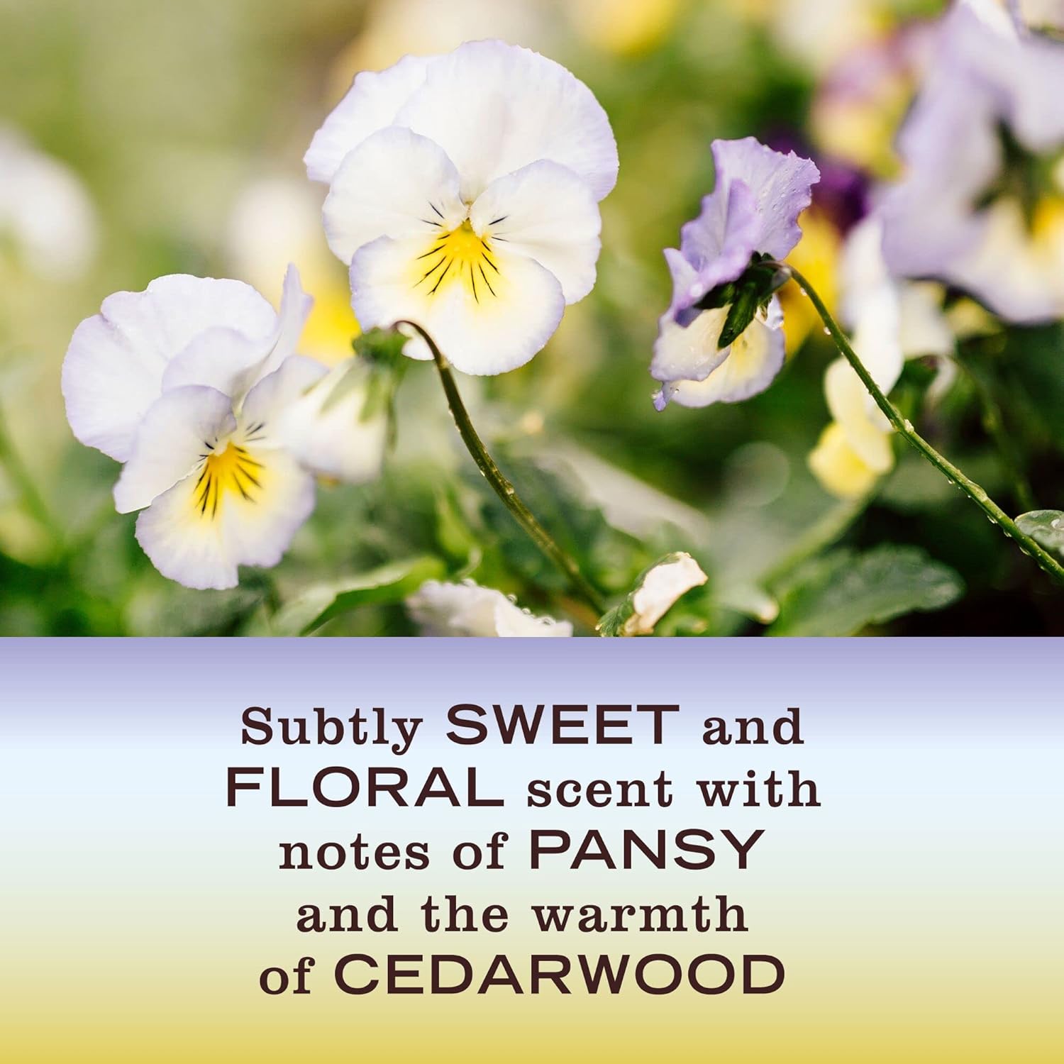 Mrs. Meyer'S Clean Day Room And Air Freshener Spray, Non-Aerosol Spray Bottle Infused With Essential Oils, Apple Cider, 8 Fl. Oz : Health & Household