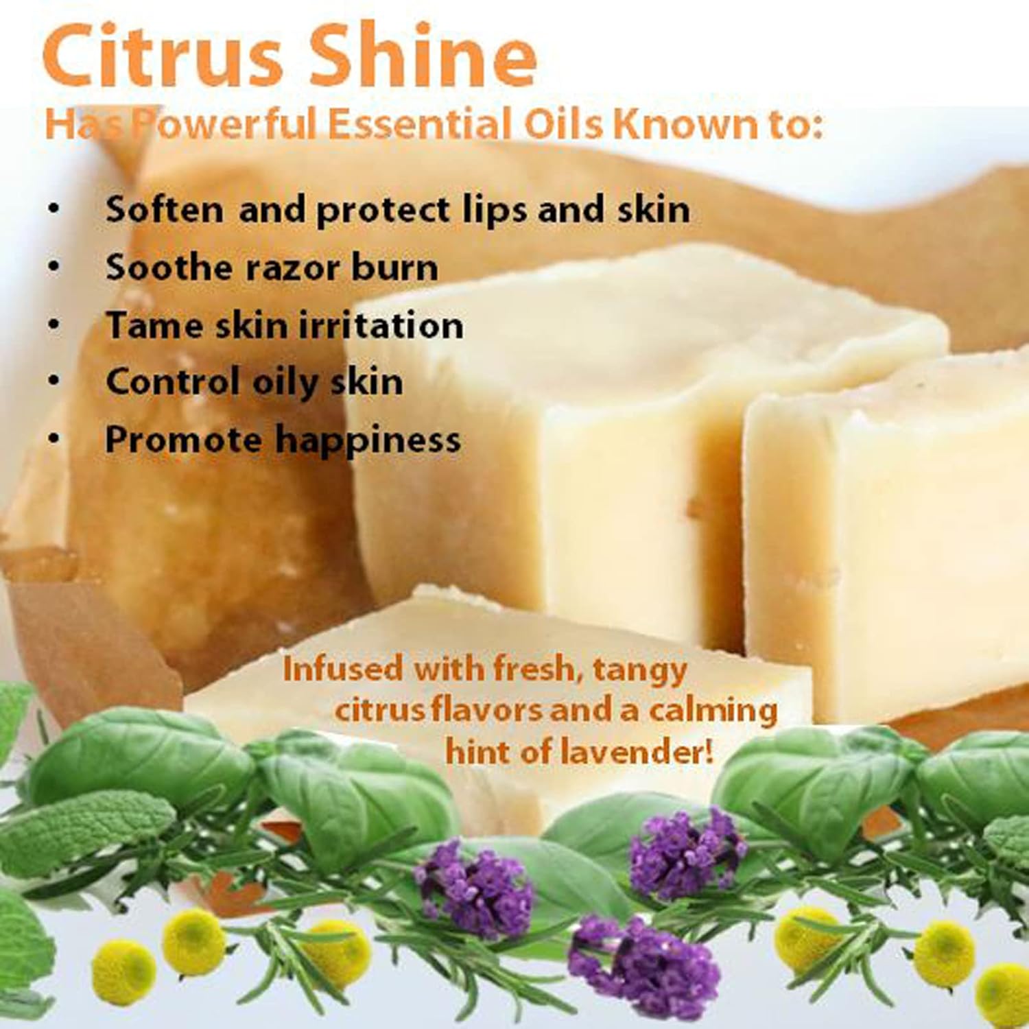 Vintage Tradition Beef Tallow All Purpose Balm – Healing, Hydrating Citrus Oil Skin Care Salve Replaces Body Lotion, Hand Cream, More – Essential Oil,A Olive Oil, And Grass-Fed Tallow, 2 Fl. Oz. : Beauty & Personal Care