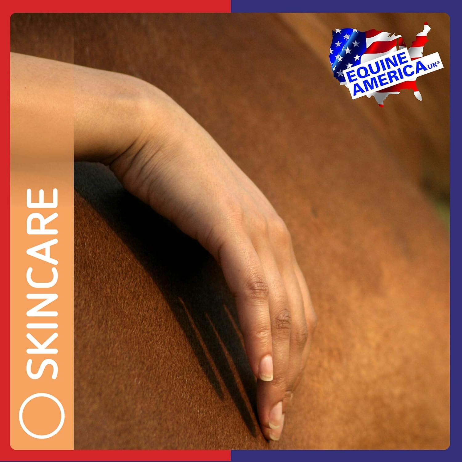 Veterinus Derma Gel | Herbal Animal Skin Care | Wound Care For Pets and Animals | 100ml : Amazon.co.uk: Pet Supplies