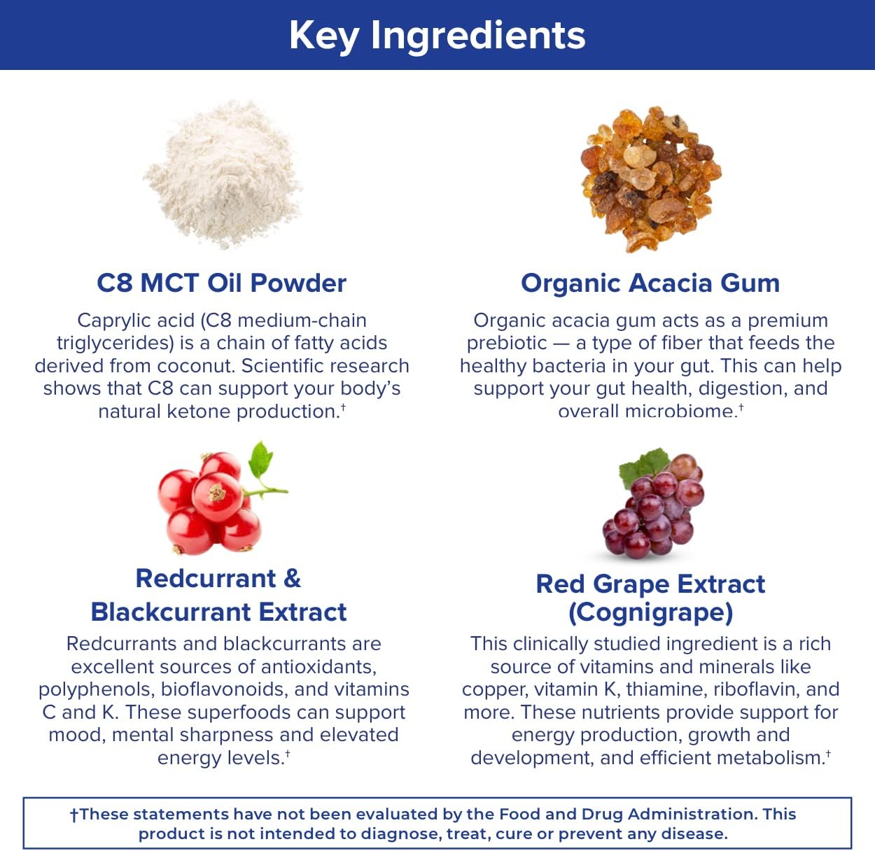 Gundry MD MCT Wellness Powder to Support Energy, Ketone Production and Brain Health, Keto Friendly, Sugar Free (30 Servings) (Raspberry Medley) : Health & Household